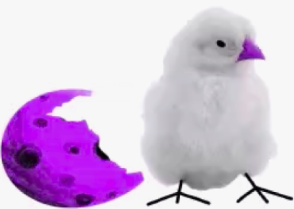 egg