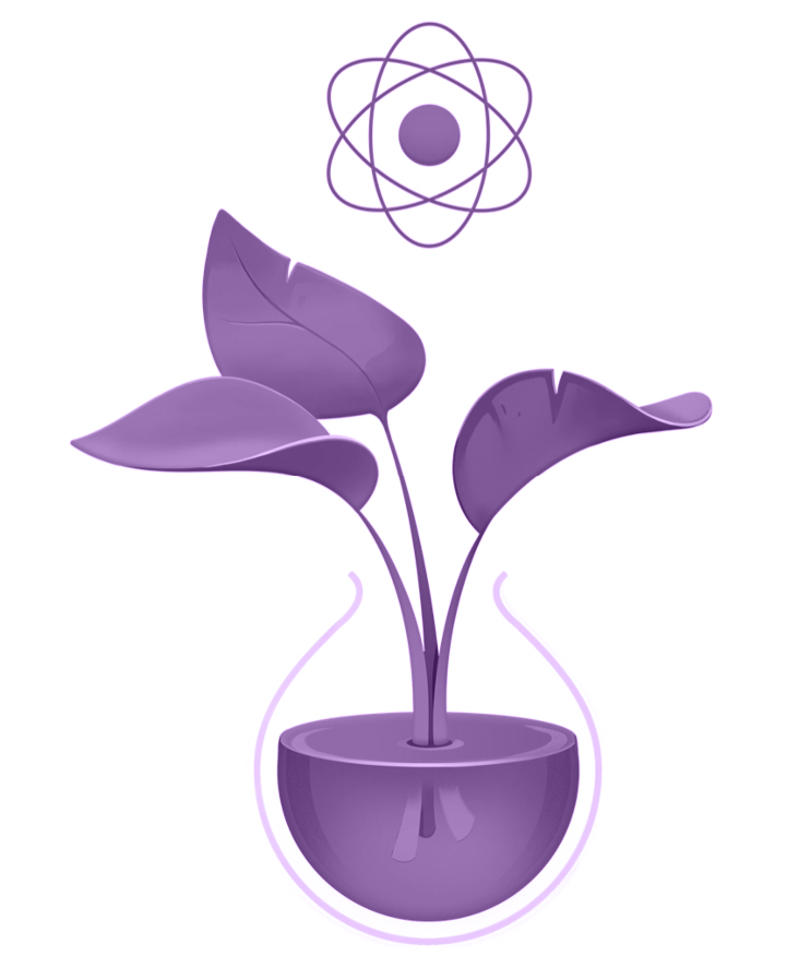 React Application Development